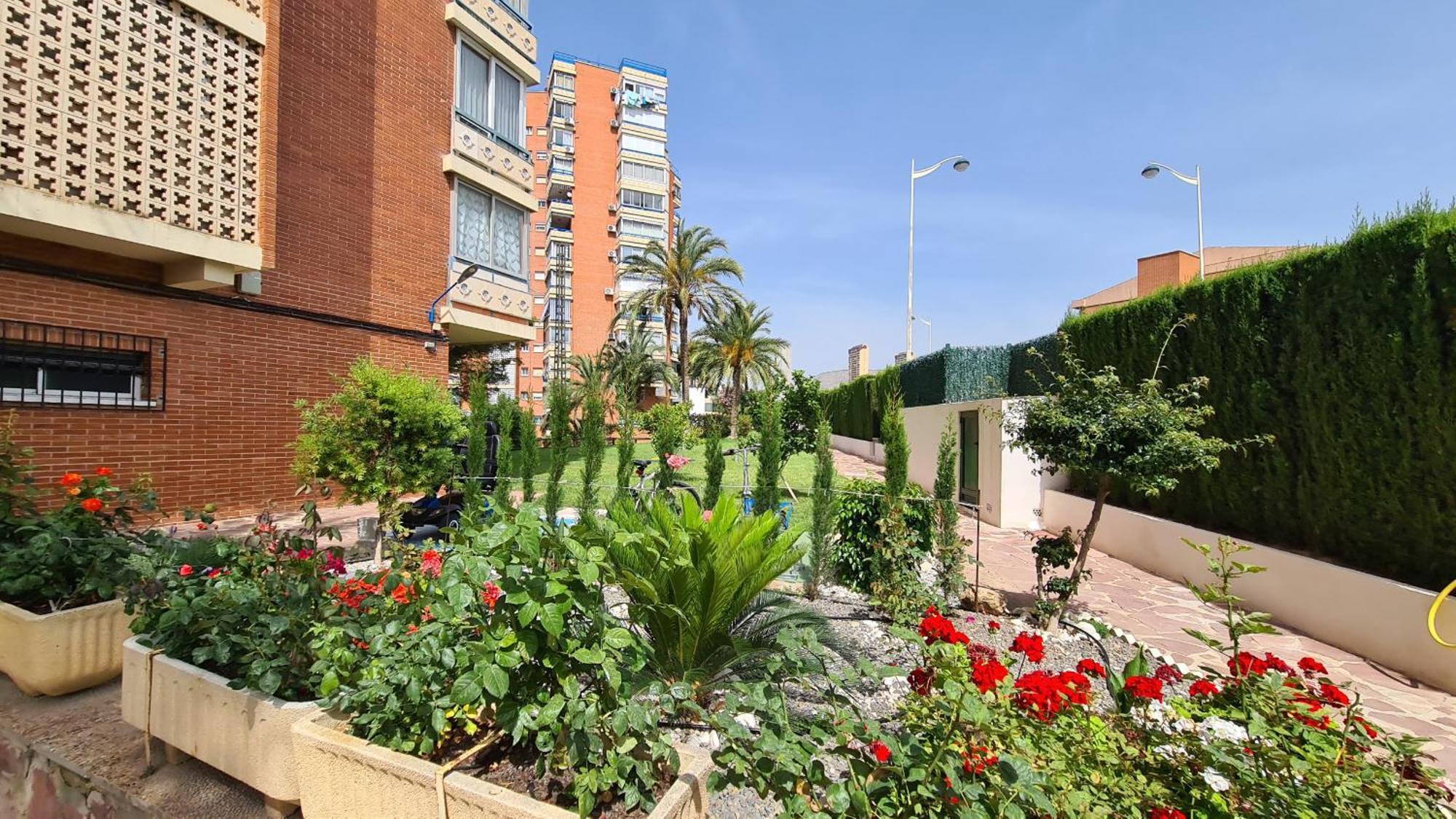 Apartamento San Sebastian If ベニドルム エクステリア 写真